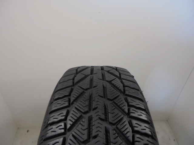 STRIAL Suv winter guma